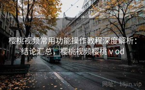 樱桃视频常用功能操作教程深度解析：结论汇总，樱桃视频樱桃ⅴod