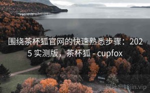围绕茶杯狐官网的快速熟悉步骤：2025 实测版，茶杯狐 - cupfox