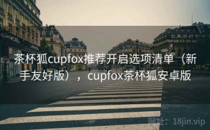 茶杯狐cupfox推荐开启选项清单（新手友好版），cupfox茶杯狐安卓版