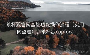 茶杯狐官网基础功能操作流程（实用向整理），茶杯狐cupfoxa