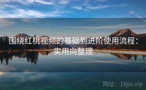 围绕红桃视频的基础到进阶使用流程：实用向整理