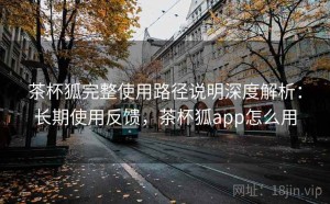 茶杯狐完整使用路径说明深度解析：长期使用反馈，茶杯狐app怎么用