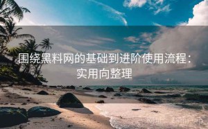 围绕黑料网的基础到进阶使用流程：实用向整理