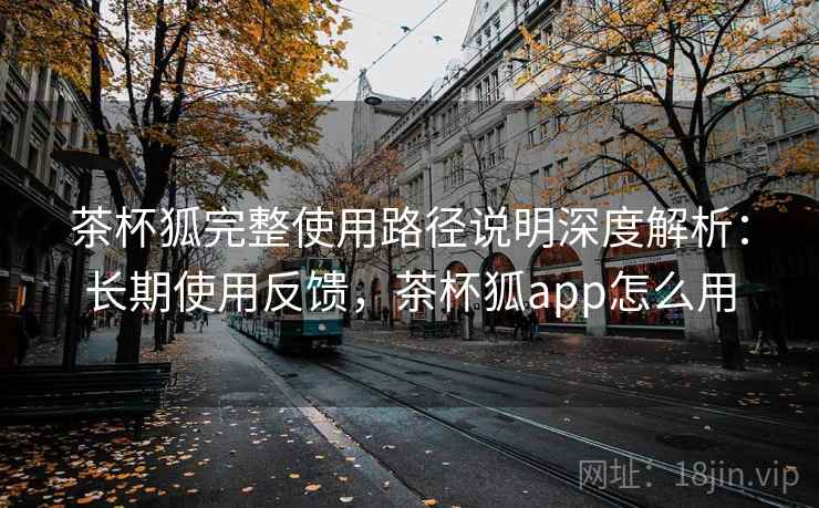 茶杯狐完整使用路径说明深度解析：长期使用反馈，茶杯狐app怎么用