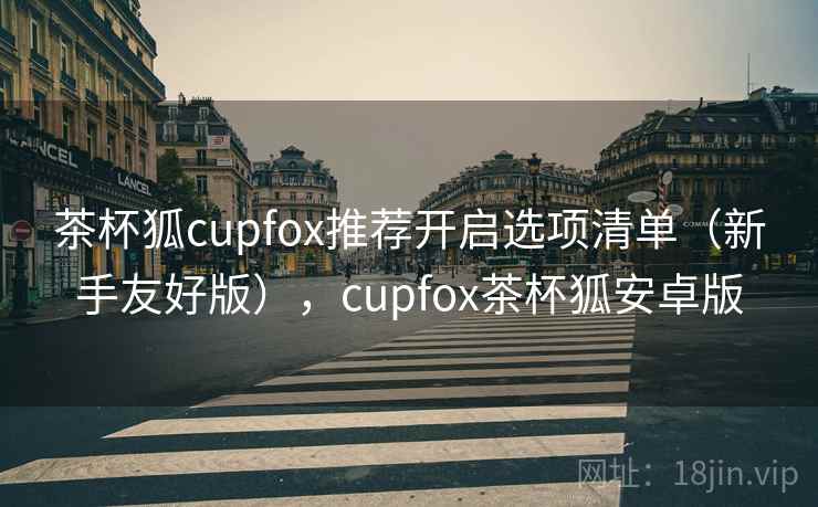 茶杯狐cupfox推荐开启选项清单(新手友好版),cupfox茶杯狐安卓版 茶杯狐cupfox推荐开启选项清单(新手友好版),cupfox茶杯狐安卓版