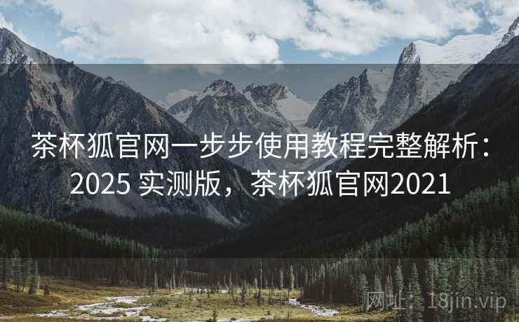 茶杯狐官网一步步使用教程完整解析：2025 实测版，茶杯狐官网2021