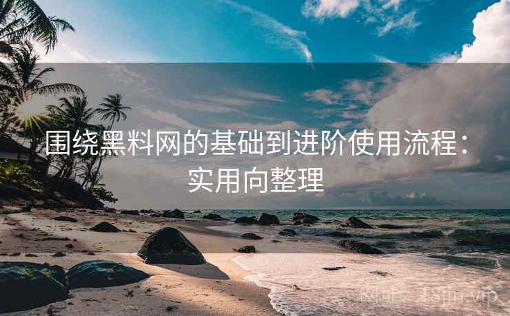 围绕黑料网的基础到进阶使用流程：实用向整理