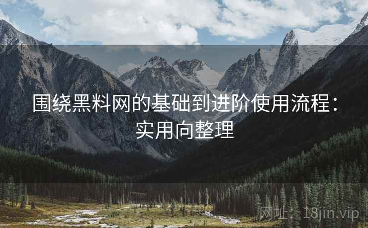 围绕黑料网的基础到进阶使用流程：实用向整理